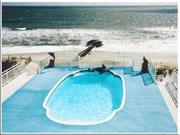 Cozumel Fiberglass Pool Cozumel Fiberglass Pool