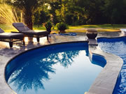 Large Freeform Tanning Ledge Fiberglass Pool